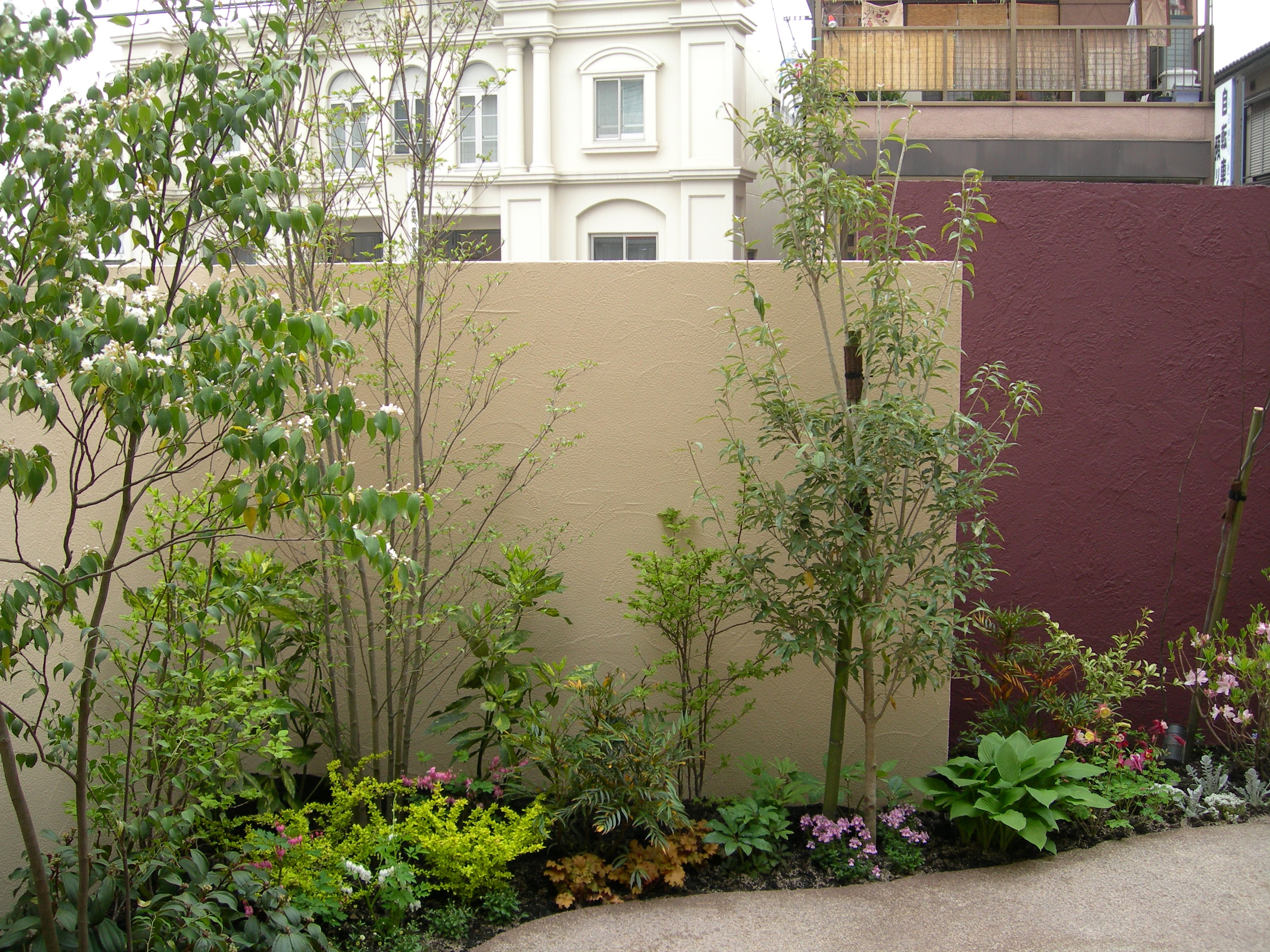 ナチュラルな植栽で狭い中庭も広く見えます 越谷市リフォーム外構工事 株式会社パサニアガーデンうさぎの庭 ガーデンプラット