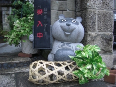 有限会社川窪造園