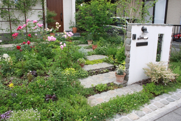 四季の変化が楽しいアプローチ6月薔薇とハーブ さいたま市 リフォーム外構 エクステリア 造園 株式会社パサニアガーデンうさぎの庭 ガーデンプラット
