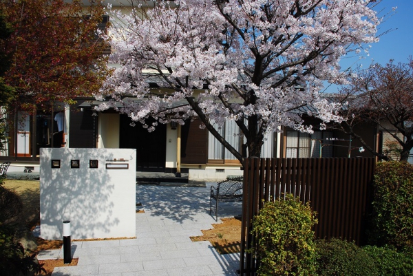 桜の木をメインに御影石をふんだんに使用した和モダンな外構 株式会社エコ グリーン設計 ガーデンプラット 桜の木をメインに御影石をふんだんに使用した和モダンな外構 株式会社エコ グリーン設計 ガーデンプラット