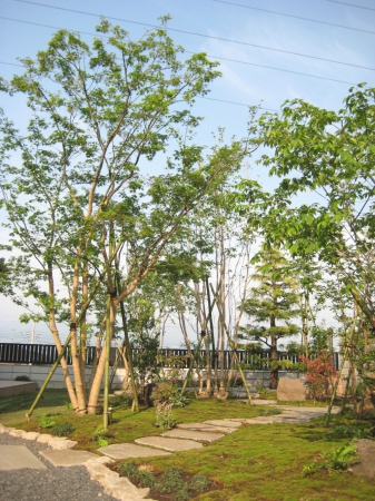 木漏れ日の庭 株式会社髙橋造園土木 赤城ローズ ベリーガーデン ガーデンプラット