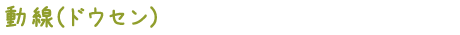 動線(ドウセン)