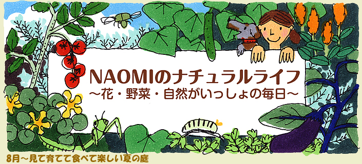8月～見て育てて食べて楽しい夏の庭
