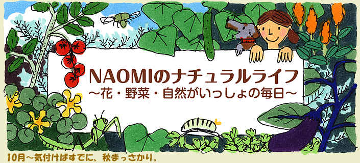 9月～気付けばすでに、秋まっさかり。