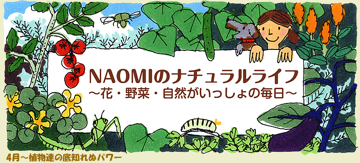 4月～植物達の底知れぬパワー