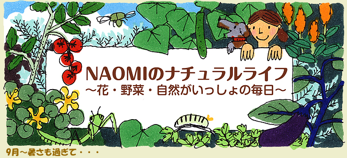 9月～暑さも過ぎて・・・