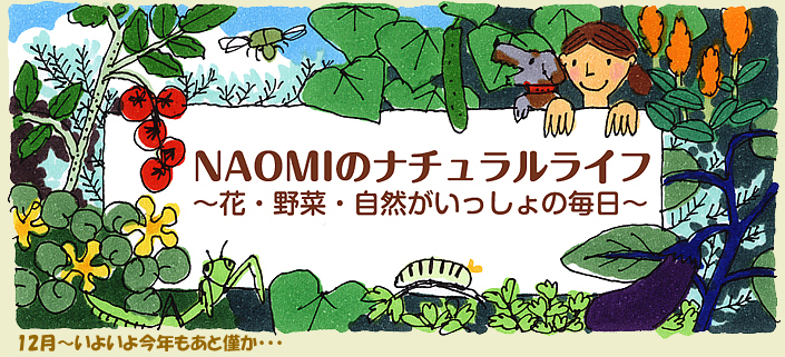 10月～秋草の季節
